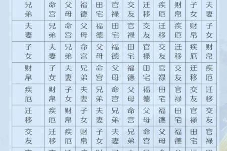 薛琴紫薇斗数
