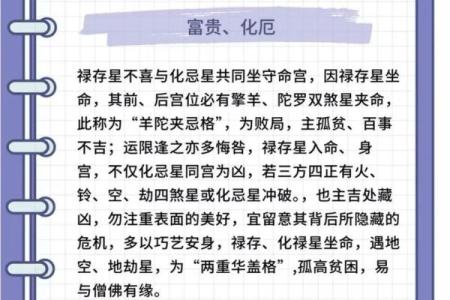 阿里紫薇斗数