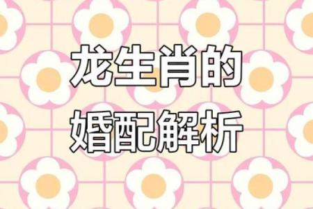 女龙男羊生肖配对姻缘 属龙女与属羊男婚姻配对详解