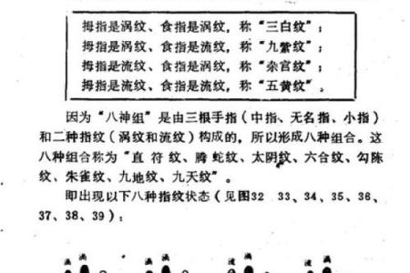 指纹算命,十个斗手指纹算命图解