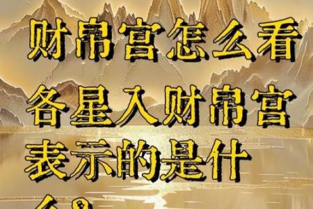 紫薇斗数看财运格局