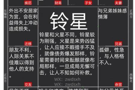 星盘十二宫代表什么 十二宫位详解