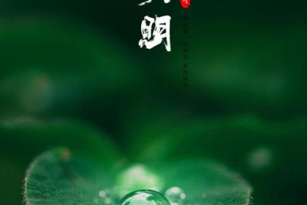 风水上清明节能剪头发吗