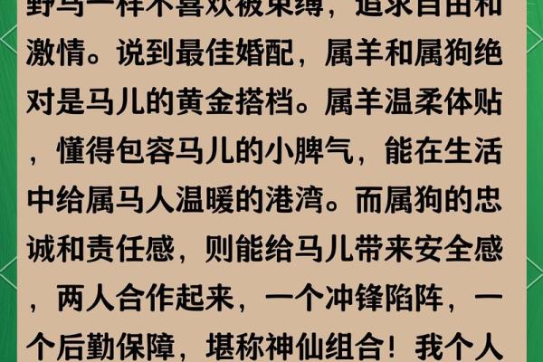 婚姻属相配对查询属马 哪些属相与属马最相配