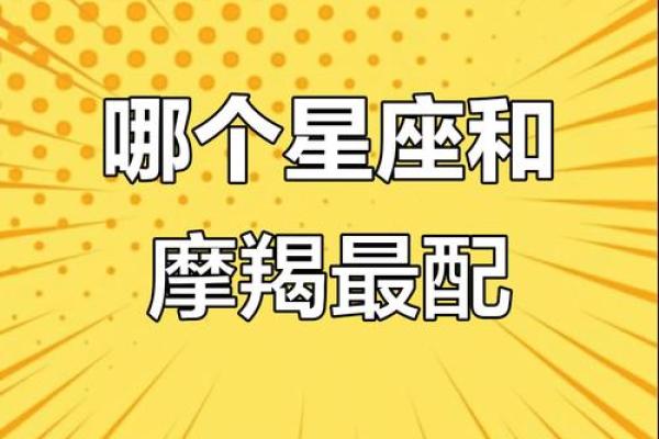 哪个星座最不搭配魔蝎座
