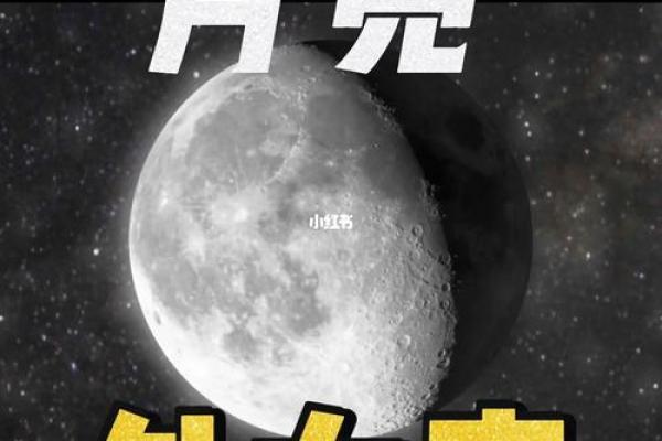 月亮星座 月亮星座是处女座的女生