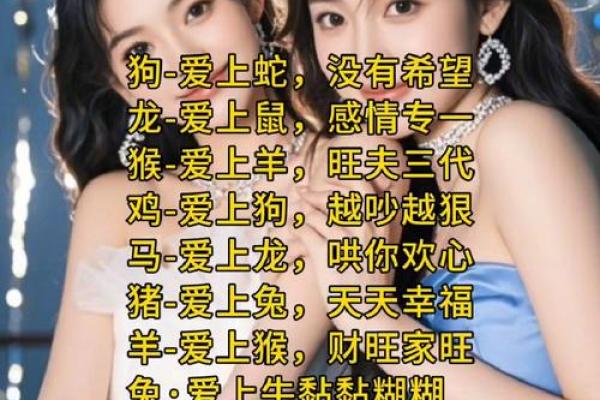 夫妻配对，对照看看。
