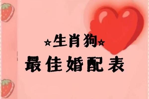 生肖配对：属狗的和什么属相最配