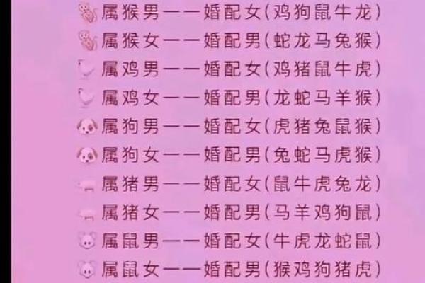 生肖配对，是什么道理？啥属相不合？终于明白了