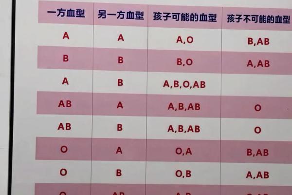 什么血型的人不显老