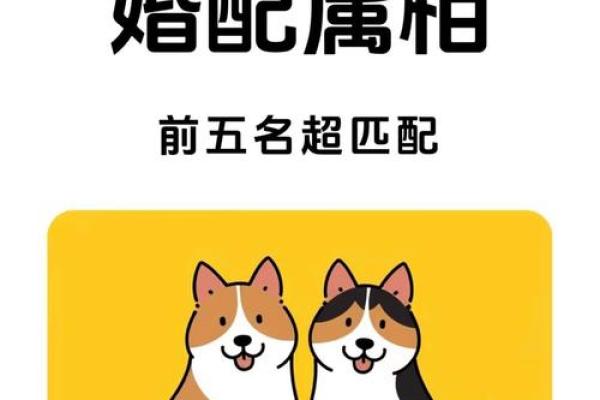 生肖配对看属狗属猴的婚姻怎么样