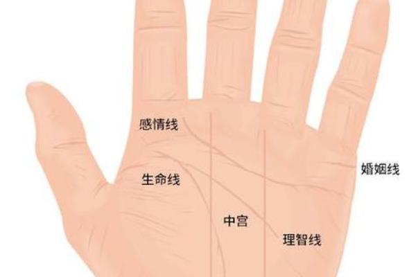 男人左手手相算命图解 婚姻线清晰无曲折象征幸福