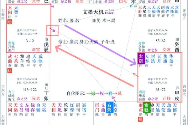 紫薇斗数里忌代表什么