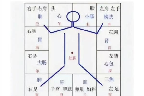 戊戌年在紫薇斗数的什么宫