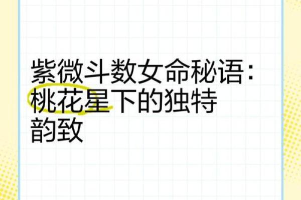 紫薇斗数桃花星6