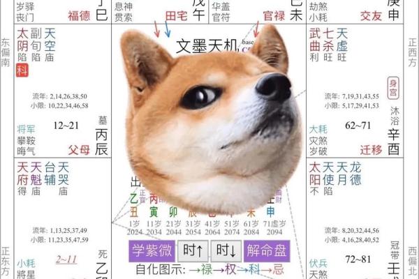 紫薇斗数排盘姓名