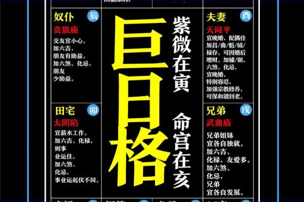 紫薇斗数排盘姓名