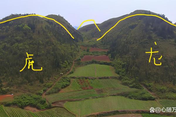 平地阴宅怎么看风水
