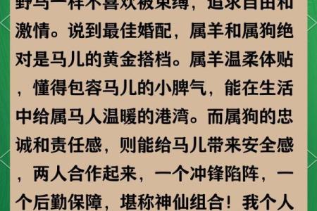 婚姻属相配对查询属马 哪些属相与属马最相配