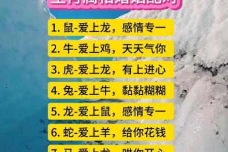 生肖配对，是什么道理？啥属相不合？终于明白了