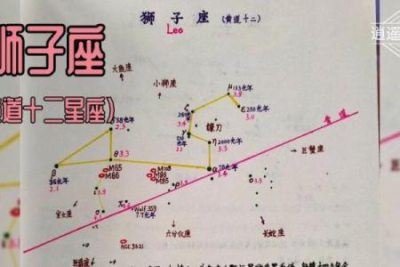 12星座学习小报：贴心分享，助你事业成功