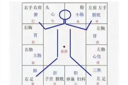 戊戌年在紫薇斗数的什么宫