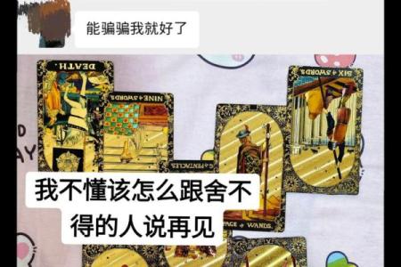 塔罗测试：感情中，你和TA之间还剩多少缘分？