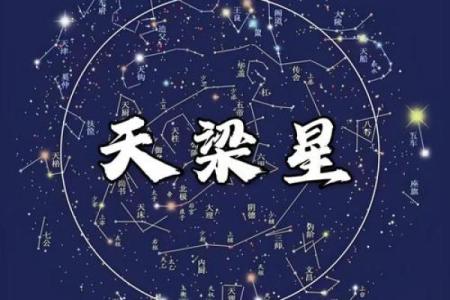 八字太阳天梁是什么意思,太阳天梁性格