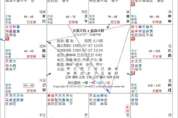 文墨天际紫薇斗数