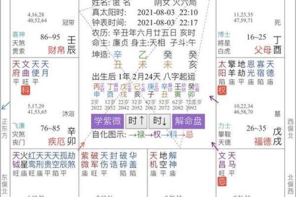 文墨天际紫薇斗数