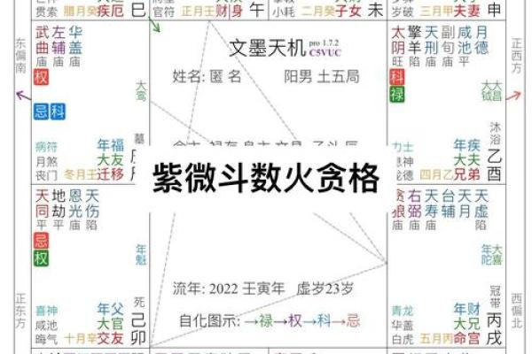紫微斗数流年疾厄宫化科
