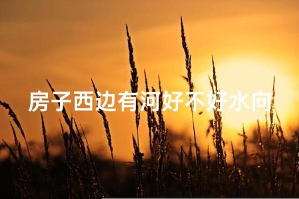 房子西边见水风水好吗