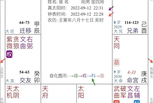 紫薇斗数易学难精