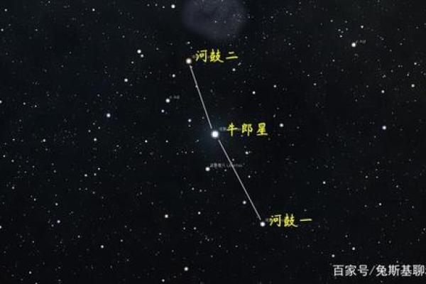 牛郎星位于什么星座  牛郎星位于什么星座上