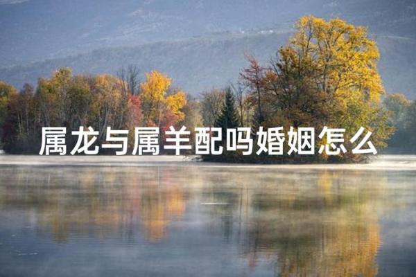 属龙的跟属龙的结婚属上等婚吗 配对要注意什么