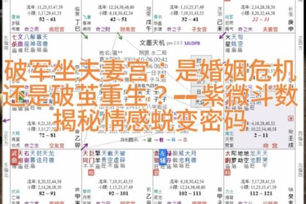 紫微斗数之夫妻宫与诸星,天同星在夫妻宫是什么意思？