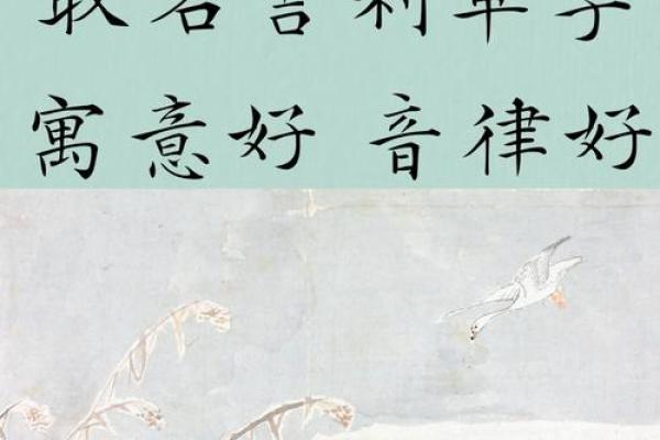 八字是土的字