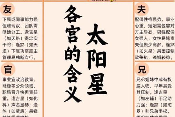 紫薇斗数会照