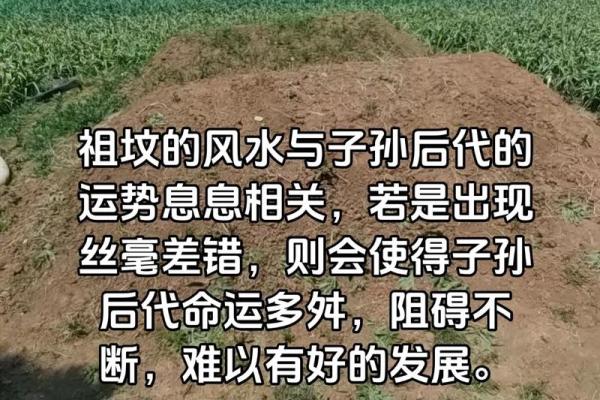 祖坟风水不注意对后代的影响