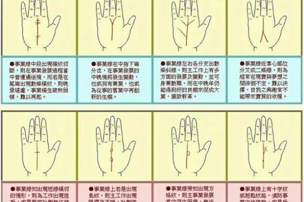 《手相学习百科》：手纹看退休