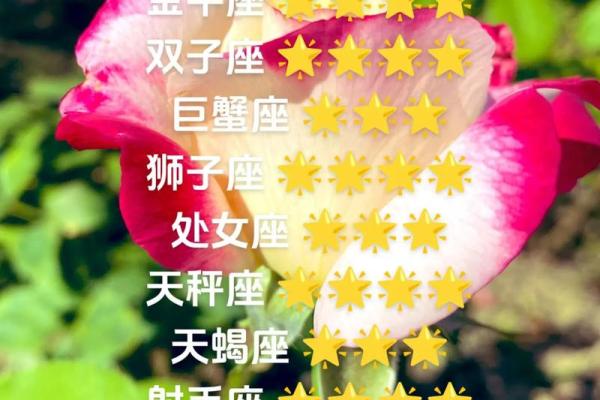 白羊座和金牛座配对指数 白羊座和金牛座配吗