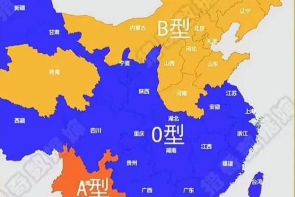 血型各国比例分析