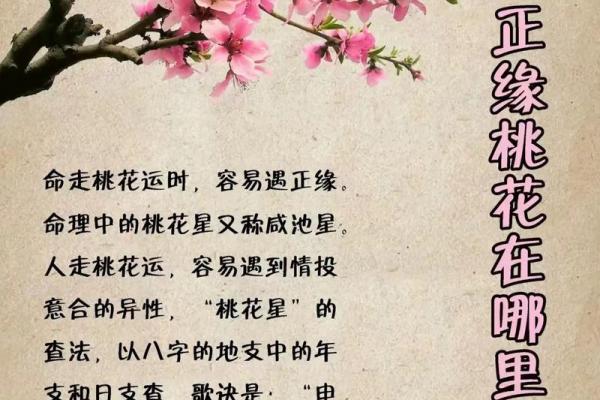 八字看未来伴侣性格及相貌,怎么自己看正缘