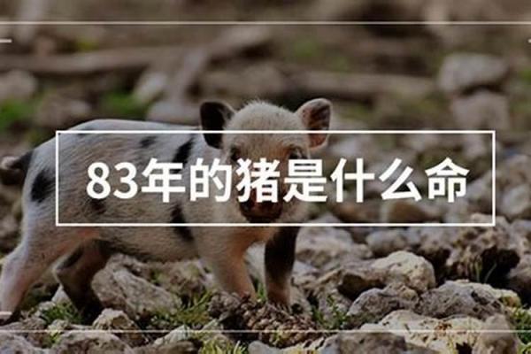 八字合婚在线算命-1971年属猪的蕞佳配偶是哪个属相