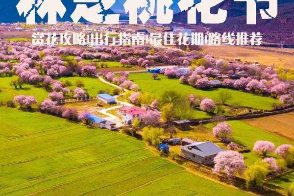 3月3日是什么节日 3月3日是何节