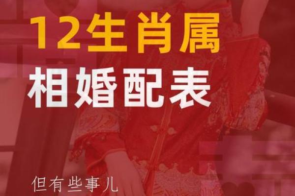 属蛇的男人应该与哪个生肖进行配对