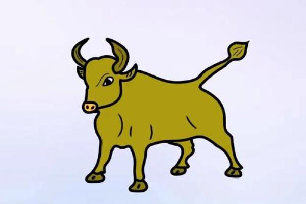 牛年生肖算命揭秘你的命运
