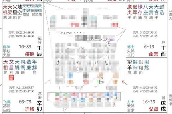 紫薇斗数无主星