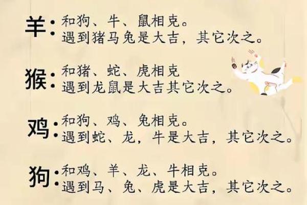 哪个属相夫妻配对好？这5对简直绝配，在一起就不会分开