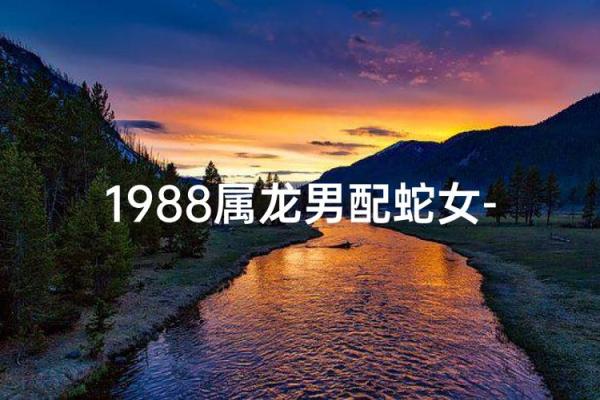属龙男和属蛇女相配吗 属龙男配对的属相婚配表